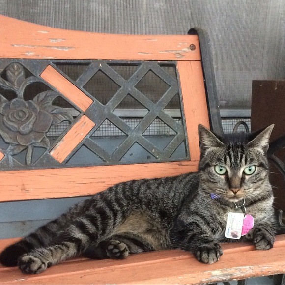 Meet your Posher, Kristen - Picture 2 of 2